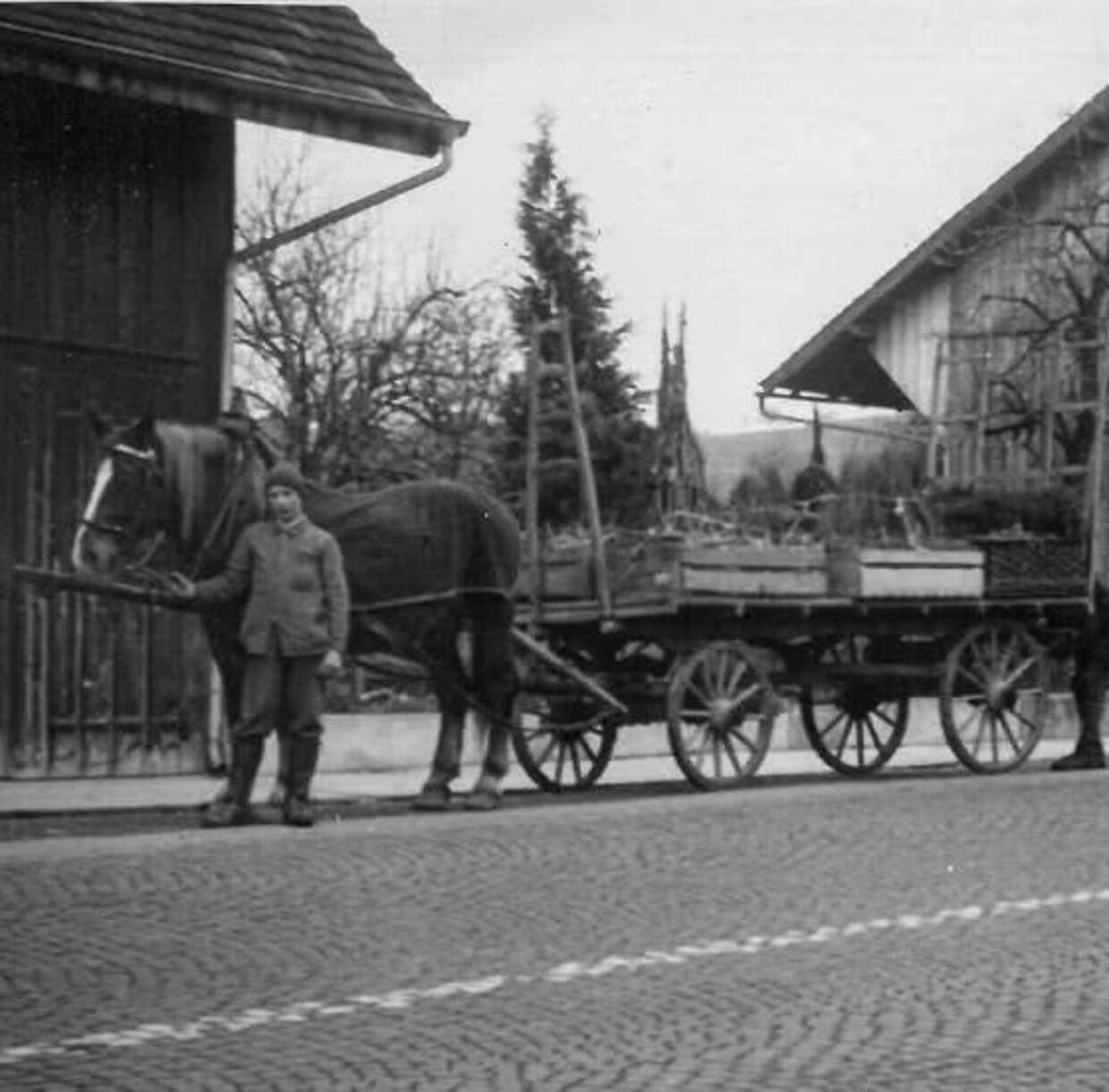 Schwarzweissfoto der Füllemann Baumschule aus dem Jahr 1975